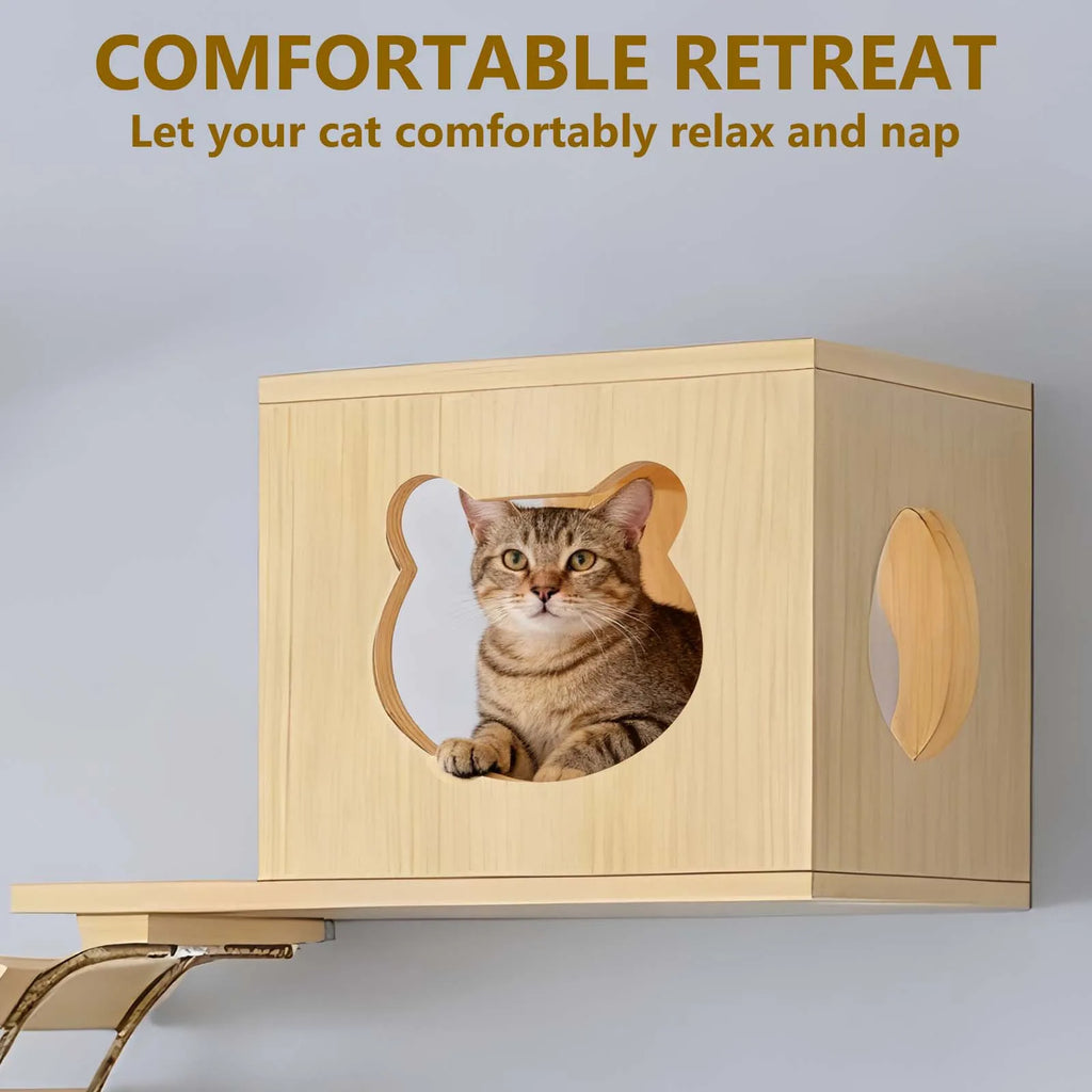 Estantes de pared de madera para gatos con postes rascadores y escalera