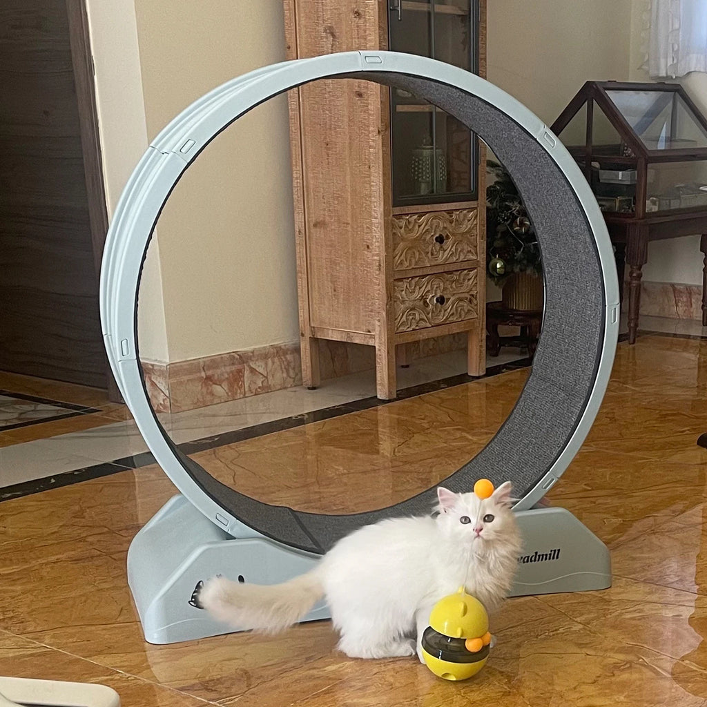 Rueda de ejercicio con tabla rascadora para gatos